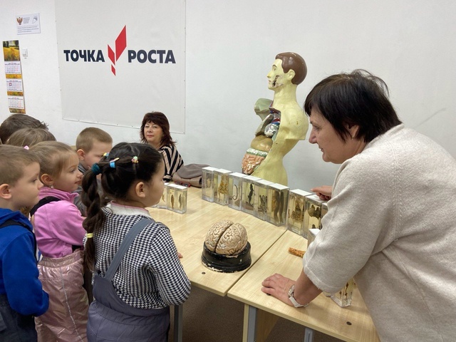 Сетевое взаимодействие с юными гостями ДОУ «ТЕРЕМОК».