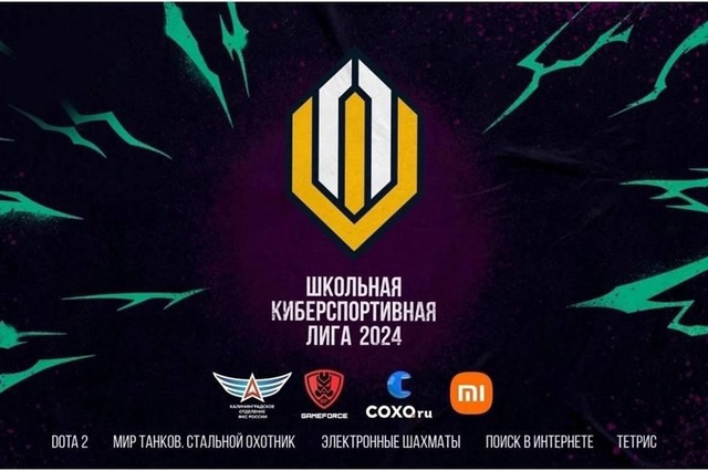 Всероссийская интеллектуально-киберспортивная школьная лига.